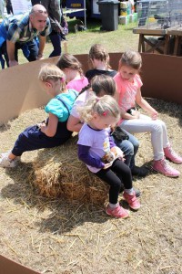 Hippisch Festijn Grave