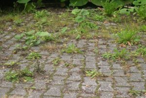 onkruidbezem met krabber